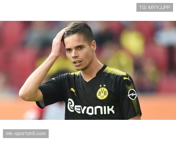 多特防线稳定性持续承压，对赛季后半程走势构成制约