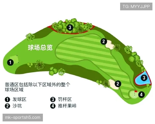挑战判罚规则是什么？权威解读其判定标准与球场影响